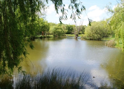 Camping Paradis - Domaine de Bellevue, 4* - 80