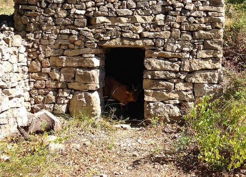 Camping des Sources, 3* - 30