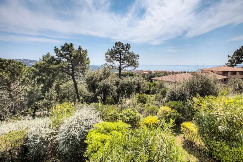 Résidence Maeva Particuliers Le Hameau des Issambres - 155