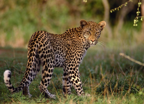 Circuit A la découverte de l'Afrique du Sud - 6