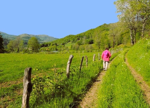 Camping Pommeraie, 4* - 38