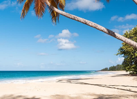 AUTOTOUR MARTINIQUE - 13