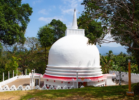 Circuit Sur la Route des temples Sri Lankais 3/4* - 5