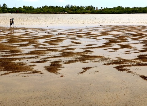 Circuit Beautés du Sénégal et balade avec les lions de Fathala - 13