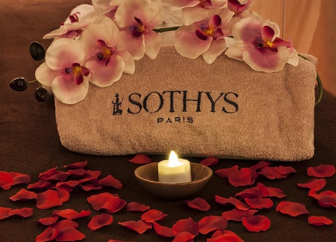 Hôtel & Spa Le Lion d'Or 3* - 12