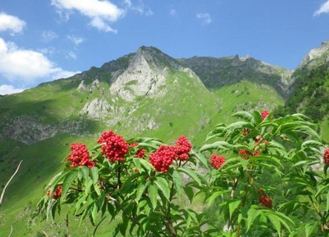 Camping du Lac, 4* - 55