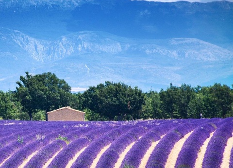 Camping Les Routes de Provence - Ciela Village, 3* - 48