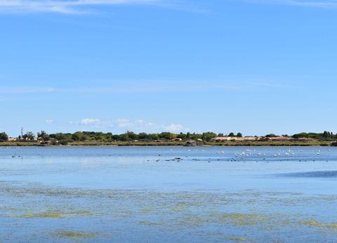 Camping Bleu Marine 4* - 4