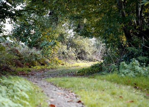 Camping Là, Com'Union, 3* - 19