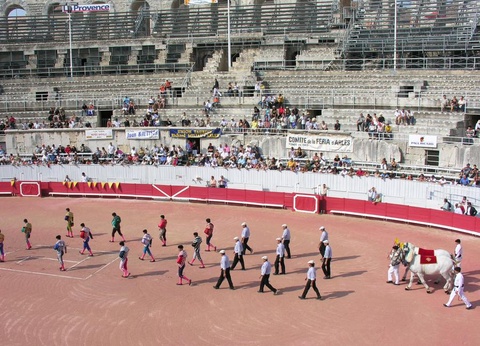 Camping Les Micocouliers 3* - 26