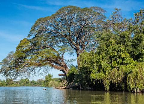 Circuit Odyssée Laotienne - 20