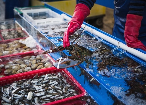 Combiné : La Traversée du Japon et de la Corée - 15