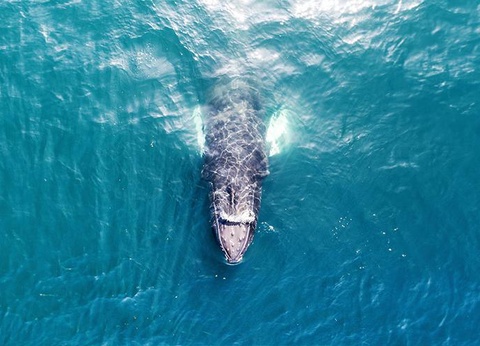 City Break 5 nuits - Découverte en terre de feu et de glace - 12