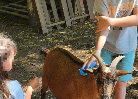 Camping Domaine Du Bois Coquet, 3* - 36