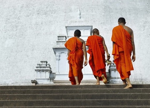 Circuit privé Ceylan buissonnier - 5