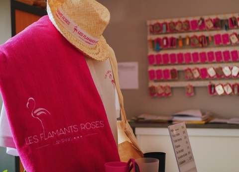 Camping Flamants Roses 4* - 9