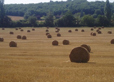 Camping Du Lac de Thoux - Ciela Village, 3* - 36