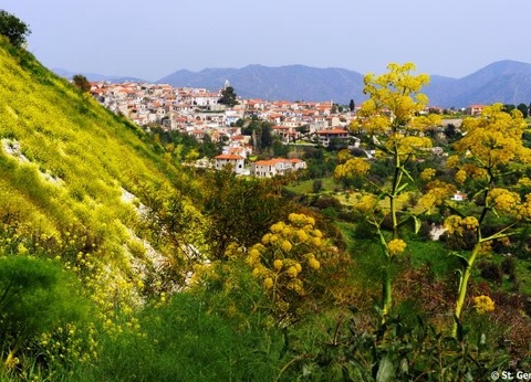 Circuit Trésors de Chypre 3* - 2