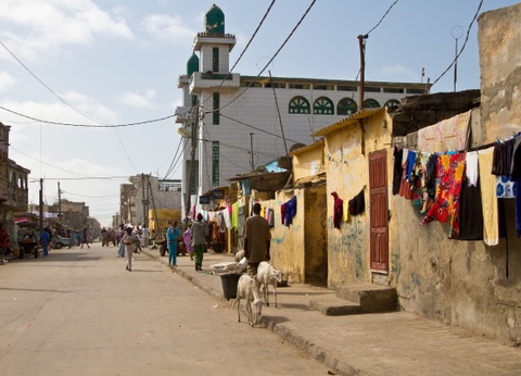 Circuit Les Oasis du Sénégal + extension 2N Framissima Palm Beach **** - 6