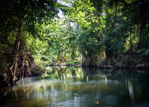 Croisière Cocktail Nature aux Antilles ***** - 14