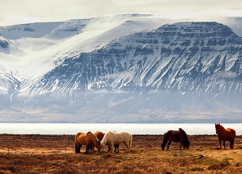 City Break 4 nuits - Aventures et aurores boréales by Ôvoyages - 12