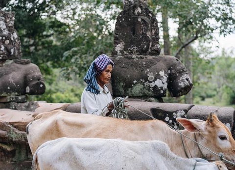 Circuit De la Baie d'Halong aux Temples d'Angkor - 3