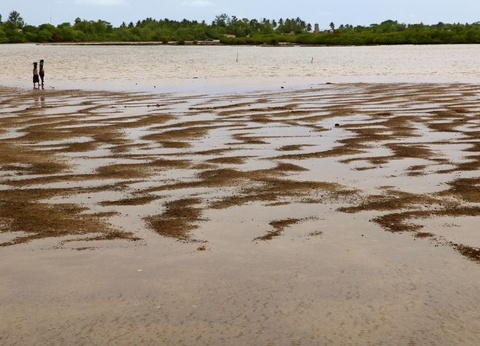 Circuit Immersion au pays de la Teranga - 8