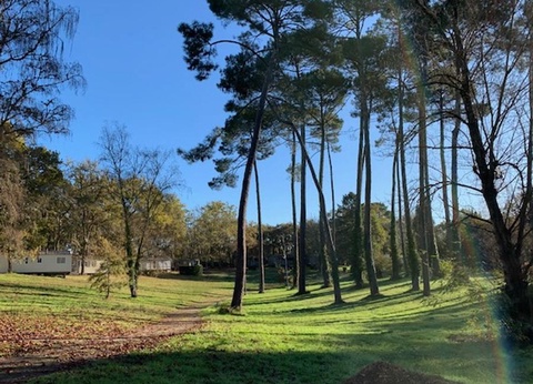 Camping Val de l'Eyre, 4* - 20