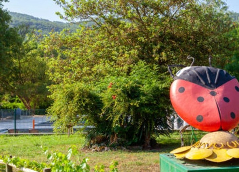 Camping Sites et Paysages - Le Moulin, 4* - 54