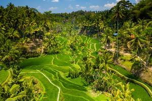 Circuit Bali Intimiste - 2