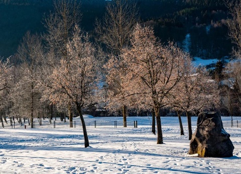 Camping du Lac de Moselotte, 4* - 47