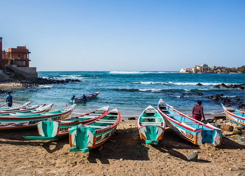 Circuit Les Oasis du Sénégal en privatif *** - 4