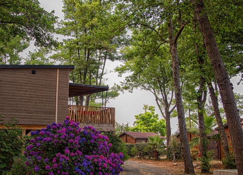 Camping Merendella, 4* - 60