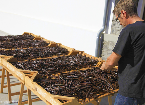 Circuit Randonnées à l'Ile de la Réunion - 12