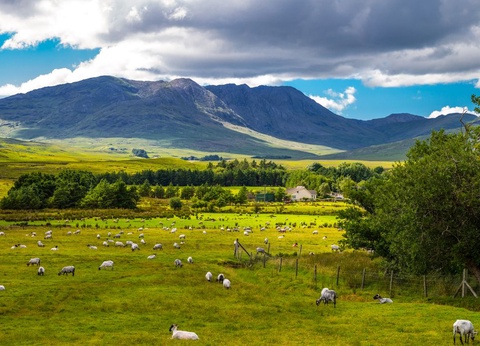 Circuit Légendes d'Irlande - 3