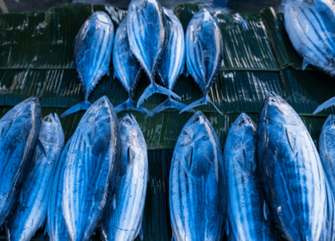 Circuit L'essentiel du Sri Lanka et plage de Beruwela - 16