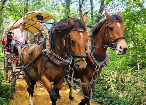 Camping Domaine des Chênes Blancs Pausado, 3* - 22