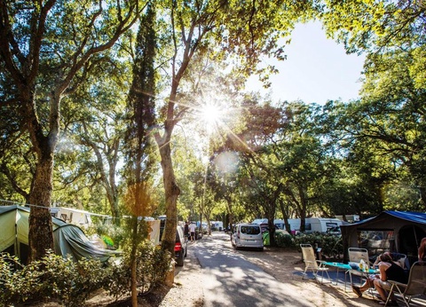 Domaine De La Bergerie, 5* - 38