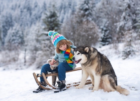 Club Jumbo Santa's Hotel Tunturi Laponie (demi-pension, activités incluses) - 2