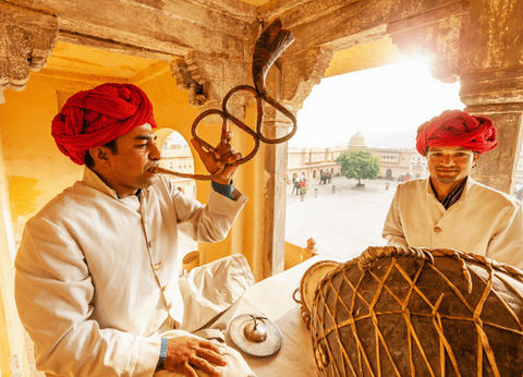 Circuit Le livre de la Jungle, entre oiseaux et tigres, en privatif - 4