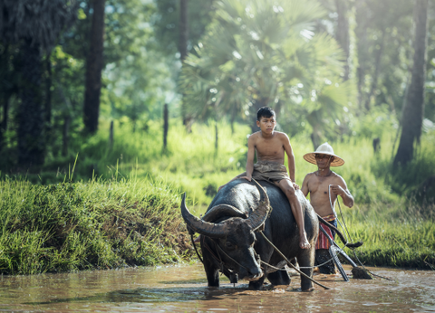Circuit Balade Authentique du Volcan Ijen aux Rizières de Bali - 7