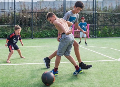 Camping La Roseraie, 4* - 66