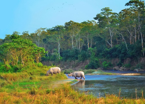 Circuit Népal oublié : cités médiévales, Himalaya et jungle du Terraï - 15