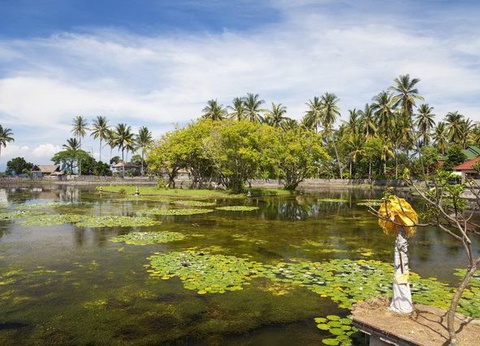 Circuit Privé Singapour et Flânerie balinaise, Indonésie - 19