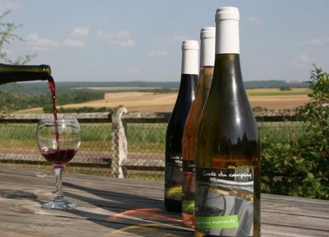 Camping Ushuaïa Villages Au Bois Joli, 4* - 46