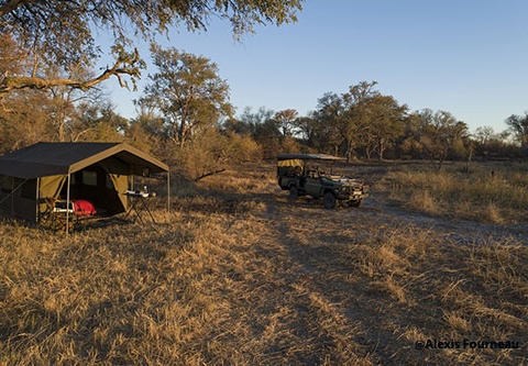 Immersion au Botswana 11J/8N - 2025 - 2