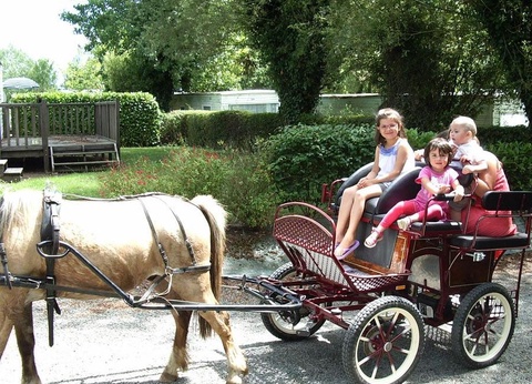 Camping Paradis - Domaine de Bellevue, 4* - 160