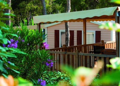 Camping Les Dauphins 3* - 2