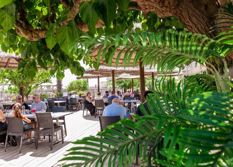 Camping Mas des Lavandes 4* - 19