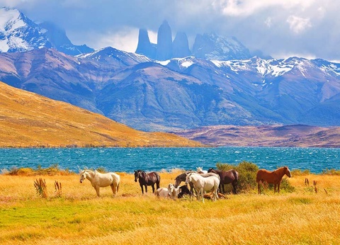 Circuit Confidentiel Chili et extension île de Pâques - 5